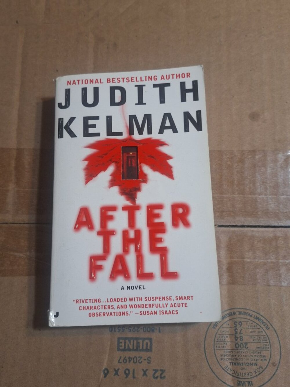 After the Fall